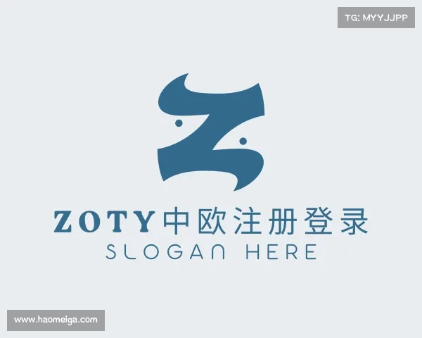 关于zoty中欧注册登录